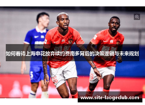如何看待上海申花放弃续约费南多背后的决策逻辑与未来规划