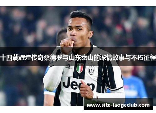 十四载辉煌传奇桑德罗与山东泰山的深情故事与不朽征程