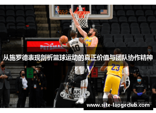 从施罗德表现剖析篮球运动的真正价值与团队协作精神