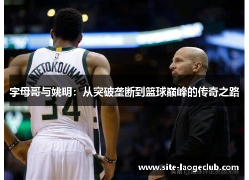 字母哥与姚明：从突破垄断到篮球巅峰的传奇之路