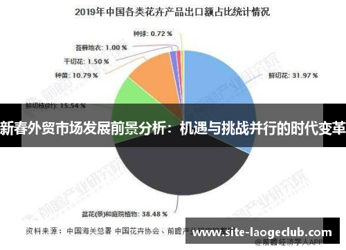 新春外贸市场发展前景分析：机遇与挑战并行的时代变革