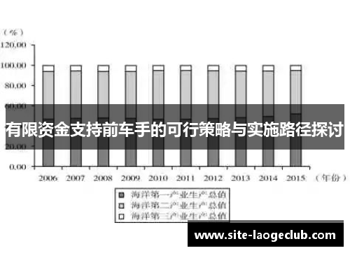 有限资金支持前车手的可行策略与实施路径探讨
