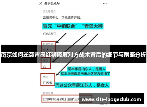南京如何逆袭青岛红狮破解对方战术背后的细节与策略分析