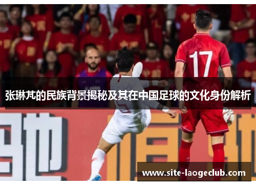 张琳芃的民族背景揭秘及其在中国足球的文化身份解析
