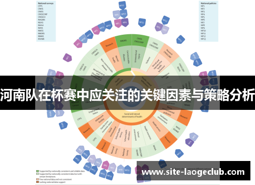 河南队在杯赛中应关注的关键因素与策略分析