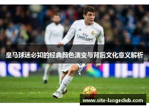皇马球迷必知的经典颜色演变与背后文化意义解析