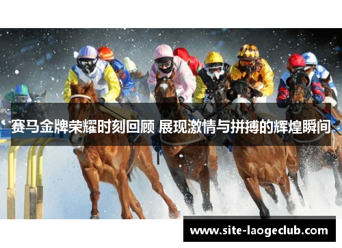 赛马金牌荣耀时刻回顾 展现激情与拼搏的辉煌瞬间