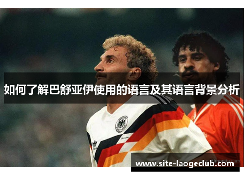 如何了解巴舒亚伊使用的语言及其语言背景分析