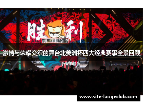 激情与荣耀交织的舞台北美洲杯四大经典赛事全景回顾