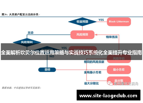全面解析坎贝尔位置运用策略与实战技巧系统化全面提升专业指南