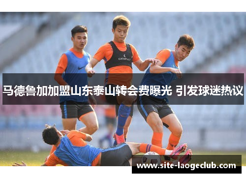 马德鲁加加盟山东泰山转会费曝光 引发球迷热议