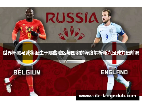 世界杯黑马或将诞生于哪些地区与国家的深度解析新兴足球力量前瞻