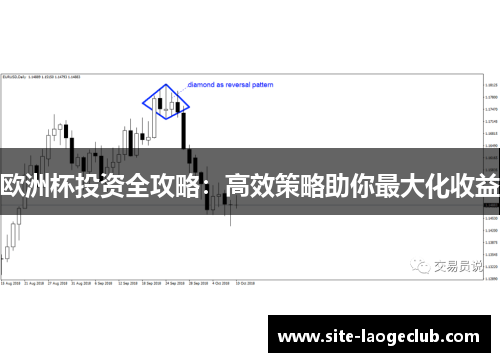 欧洲杯投资全攻略：高效策略助你最大化收益