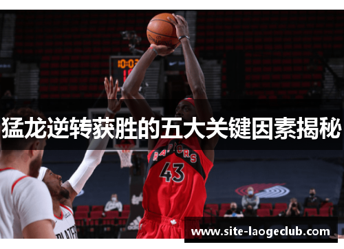 猛龙逆转获胜的五大关键因素揭秘 猛龙逆转获胜的五大关键因素揭秘